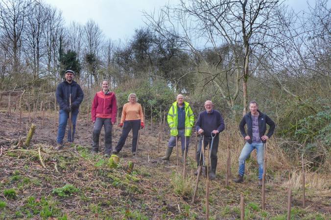 Volunteers in the coup planting hazels whips