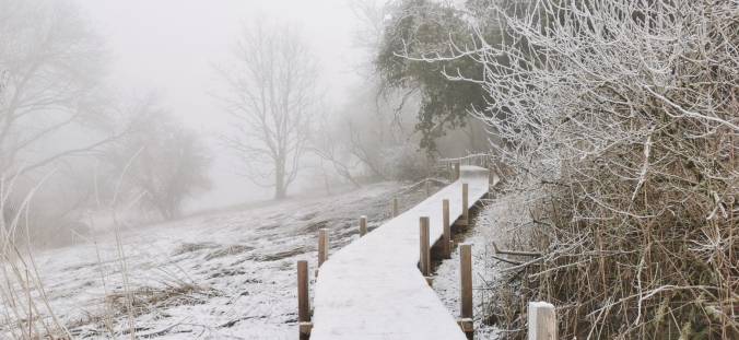 Boardwalk in snow